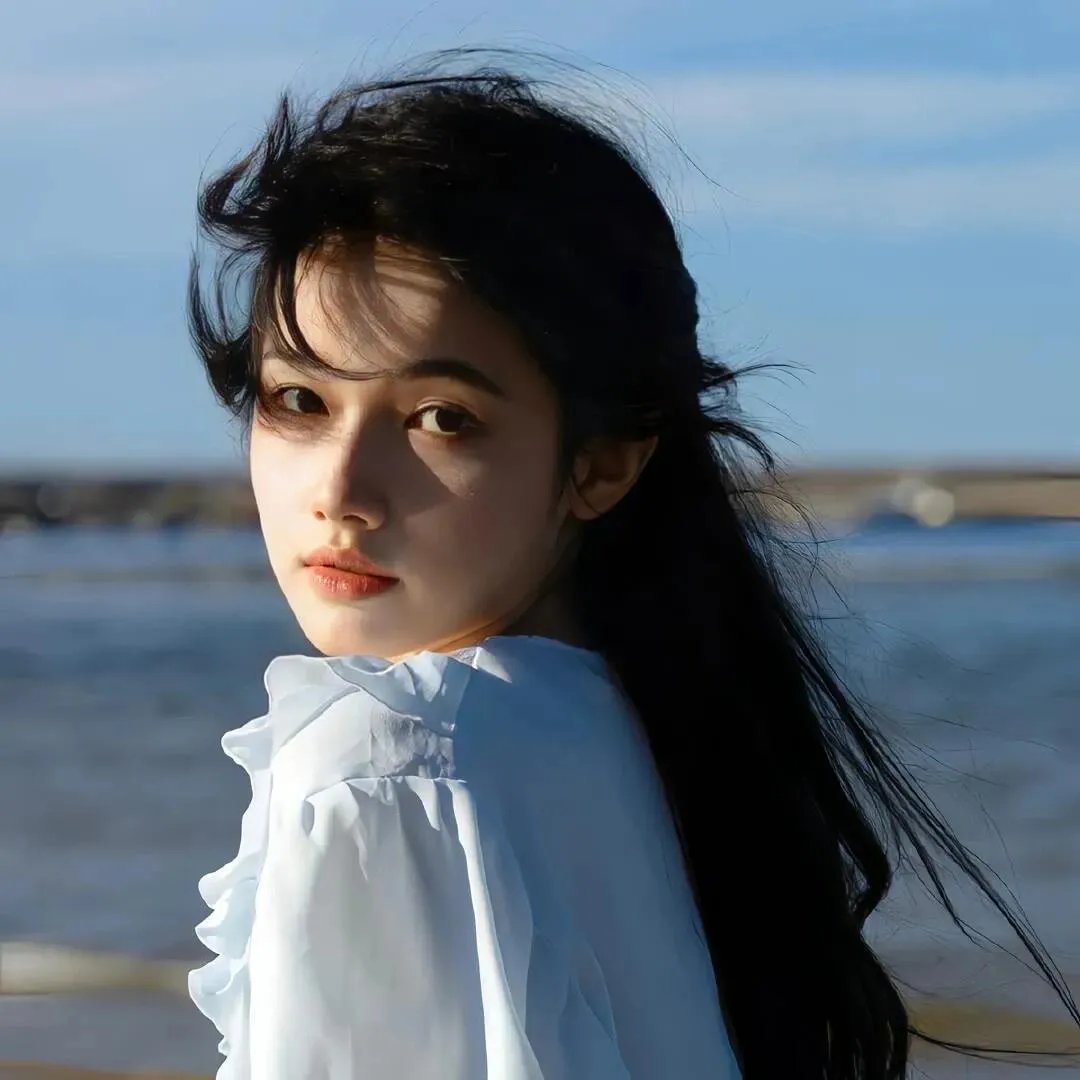 刺猬与城市